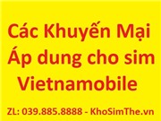 Sim Vietnamobile